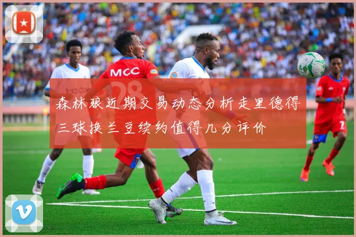 森林狼近期交易动态分析走里德得三球换兰豆续约值得几分评价